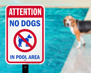 No dogs in pool sign