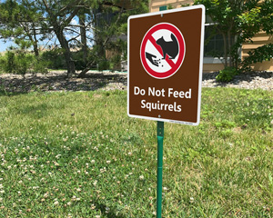 No Campfires