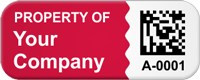 Custom Small 2D Barcode Tags (Colored Background)
