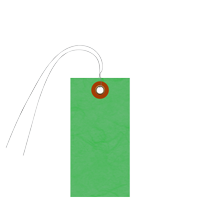 Blank Tyvek Green Shipping Tag With Wire And Eyelet