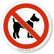 No Dog Allowed ISO Sign