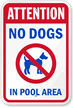 No Dog In Pool Area Sign (with Graphic)